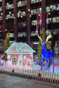 겨울, 청계천의 빛