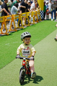 휠러스페스티벌