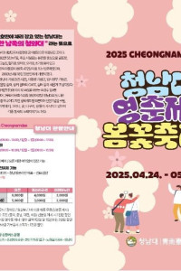 청남대 봄꽃축제 영춘제 여행 추천 - 메고지고