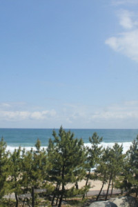 강릉비치비어페스티벌