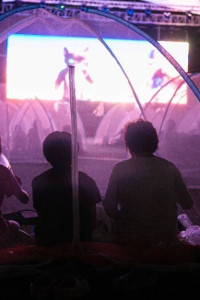 세종 조치원 복숭아 축제