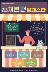 제민천 밤페스타