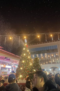 울산 성남동 눈꽃축제