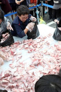 홍천 인삼한우 명품축제 여행 추천 - 메고지고
