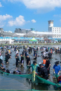 정남진 장흥 물축제