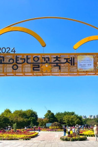 고양가을꽃축제