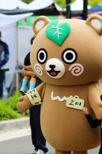 청춘양구 곰취축제