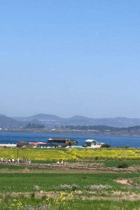 가파도청보리축제 여행 추천 - 메고지고