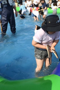 기장붕장어축제in칠암