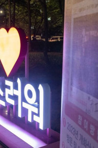 강서봄빛페스타 여행 추천 - 메고지고