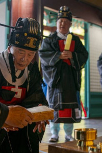 관악강감찬축제 여행 추천 - 메고지고