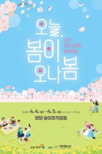 양양 남대천 벚꽃축제