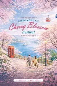 제천 청풍호 벚꽃축제