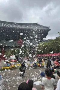 영광불갑산상사화축제