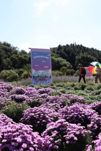 백두대간 봉자페스티벌