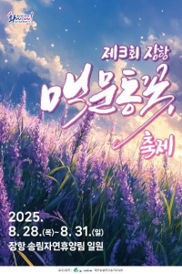 장항 맥문동 꽃 축제