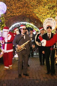 함평 겨울빛축제