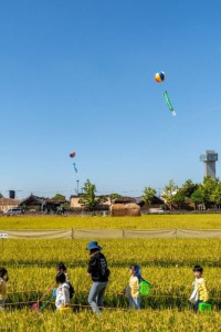 김제지평선축제 여행 추천 - 메고지고