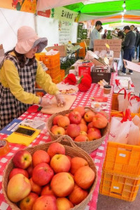 청춘양구 펀치볼 시래기사과축제