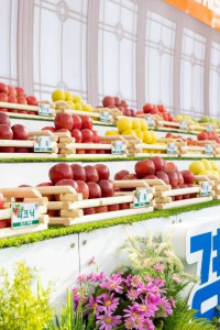 2025 경북사과홍보행사