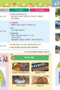 성주가야산황금들녘메뚜기축제 여행 추천 - 메고지고