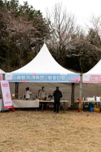 골체오름 벚꽃축제