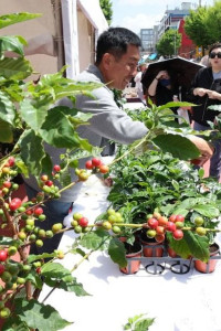 경춘선 공릉숲길 커피축제