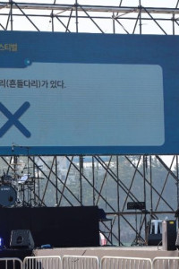 삼척 비치 썸 페스티벌