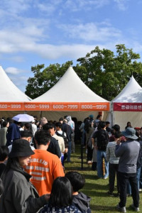 한강 종이비행기 축제