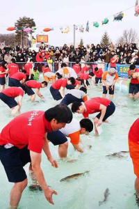 평창송어축제