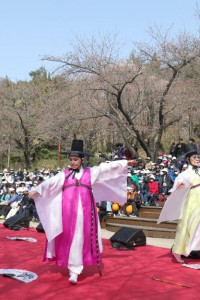 서대문 봄빛축제 여행 추천 - 메고지고