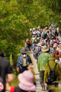 영주 소백산 철쭉제