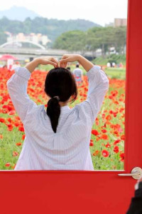 괴산빨간맛페스티벌