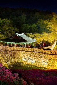 고창국가유산야행