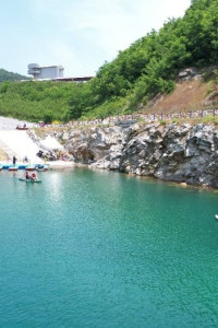 무릉별유천지 라벤더축제