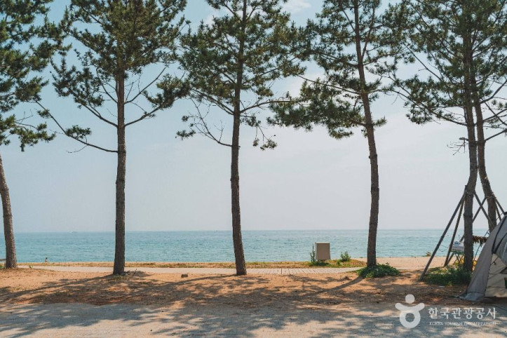 장사해수욕장 여행 추천 - 메고지고