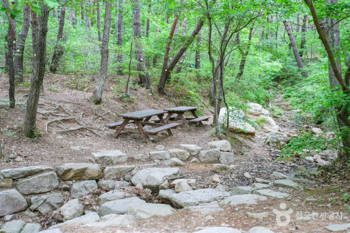 북구 편백산림욕장 여행 추천 - 메고지고