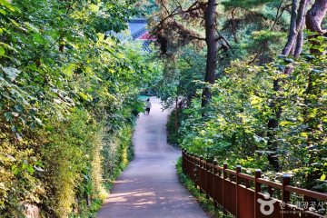 용궁향교 여행 추천 - 메고지고