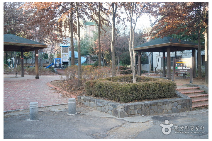 인천 신현동 회화나무 여행 추천 - 메고지고