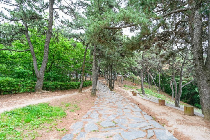 장무공원 여행 추천 - 메고지고