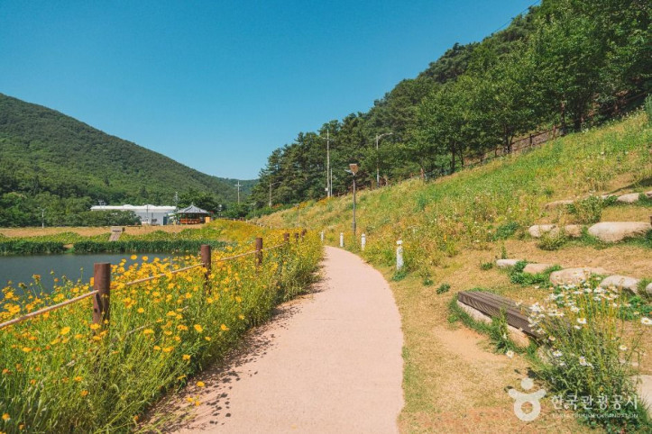 진밭골산림공원 여행 추천 - 메고지고