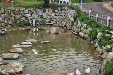 의야지 바람마을 하늘체험장 여행 추천 - 메고지고