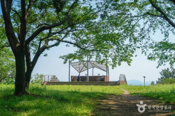 송산목장 여행 추천 - 메고지고