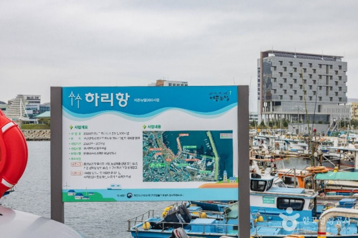 하리선착장(부산) 여행 추천 - 메고지고