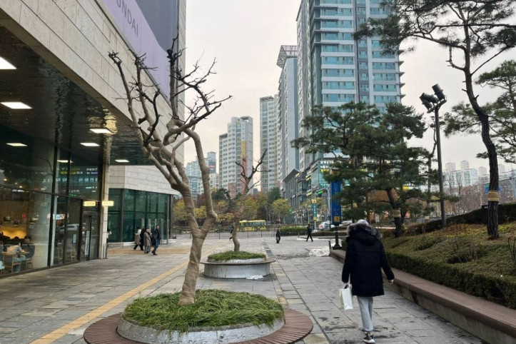디큐브시티 해바라기 공원 여행 추천 - 메고지고