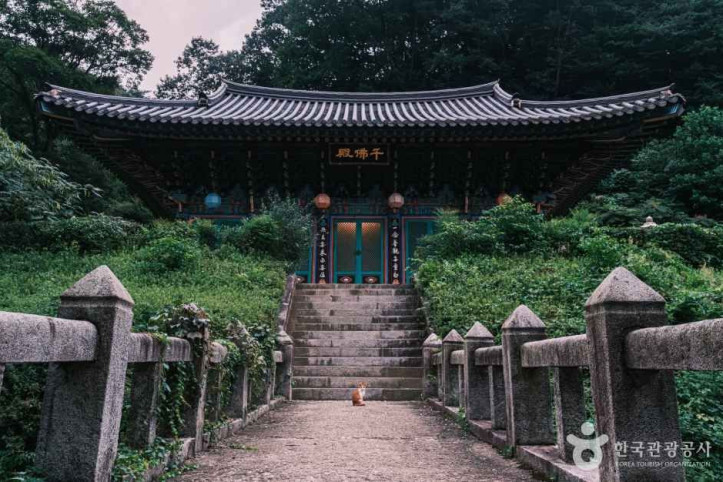 광덕사(천안) 여행 추천 - 메고지고