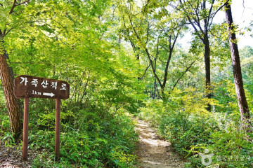 선유동계곡(문경) 여행 추천 - 메고지고