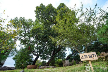 모산목장 여행 추천 - 메고지고
