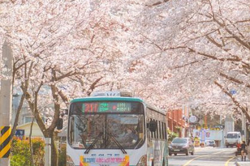 미륵산(통영) 여행 추천 - 메고지고
