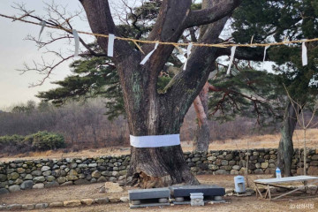 신흥사(삼척) 여행 추천 - 메고지고
